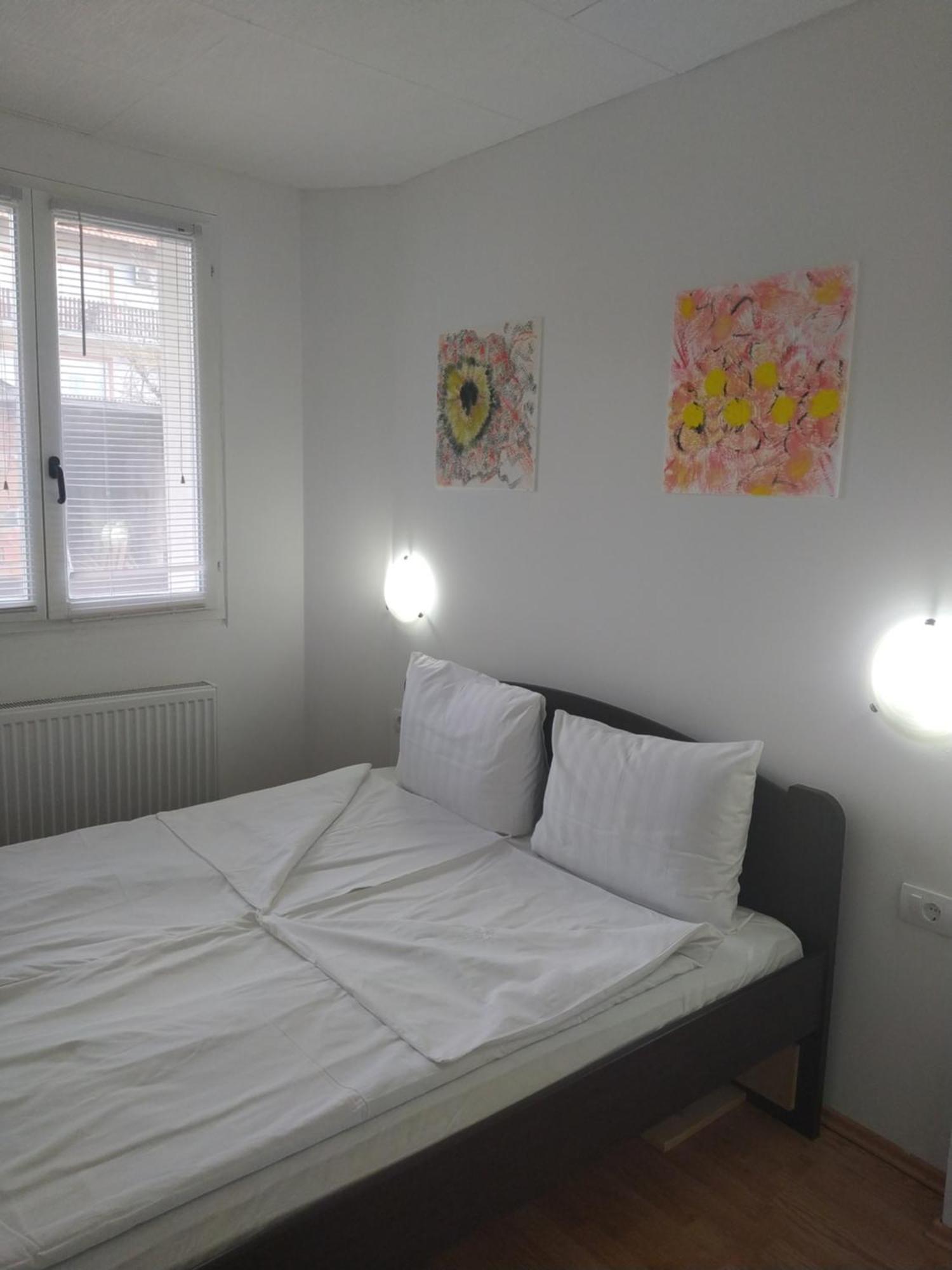 Apartman Linera Soko Banja Cameră foto