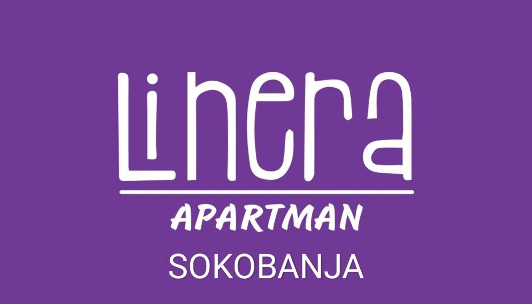 Apartman Linera Soko Banja Exterior foto